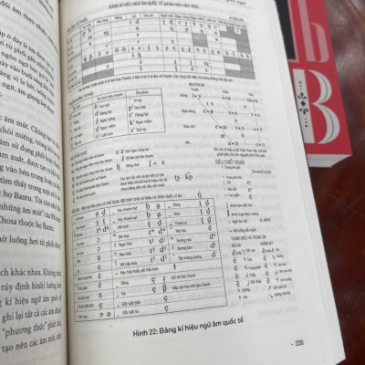 [combo 2 cuốn lịch sử ngôn ngữ] LƯỢC SỬ NGÔN NGỮ - CUỘC PHIÊU LƯU CỦA NGÔN NGỮ ANH -