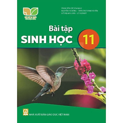 Sách bài tập Sinh Học 11- Kết Nối Tri Thức Với Cuộc Sống (Kèm Nilon bọc Sách)