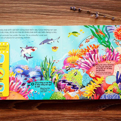 Sách Tương Tác - Sách Chuyển Động - First Explorers - Sea Creatures - Sinh Vật Biển