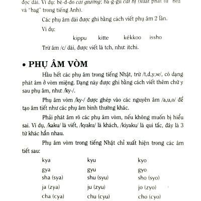 Từ Điển Nhật Việt - Việt Nhật - Bìa Cứng (Tái Bản 2023)