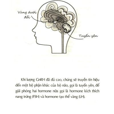 Sách Tuổi Dậy Thì - Từ "Cô Bé" Đến "Cô Nàng"