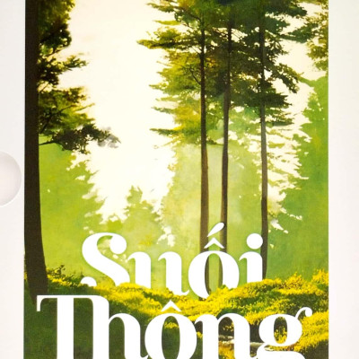 Bộ Sách Suối Thông (Bộ 3 Cuốn)