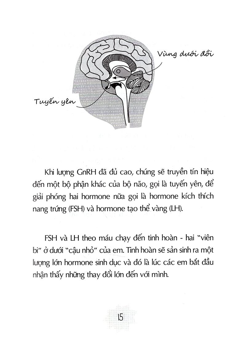 Tuổi Dậy Thì - Từ “Cậu Bé” Đến “Anh Chàng"