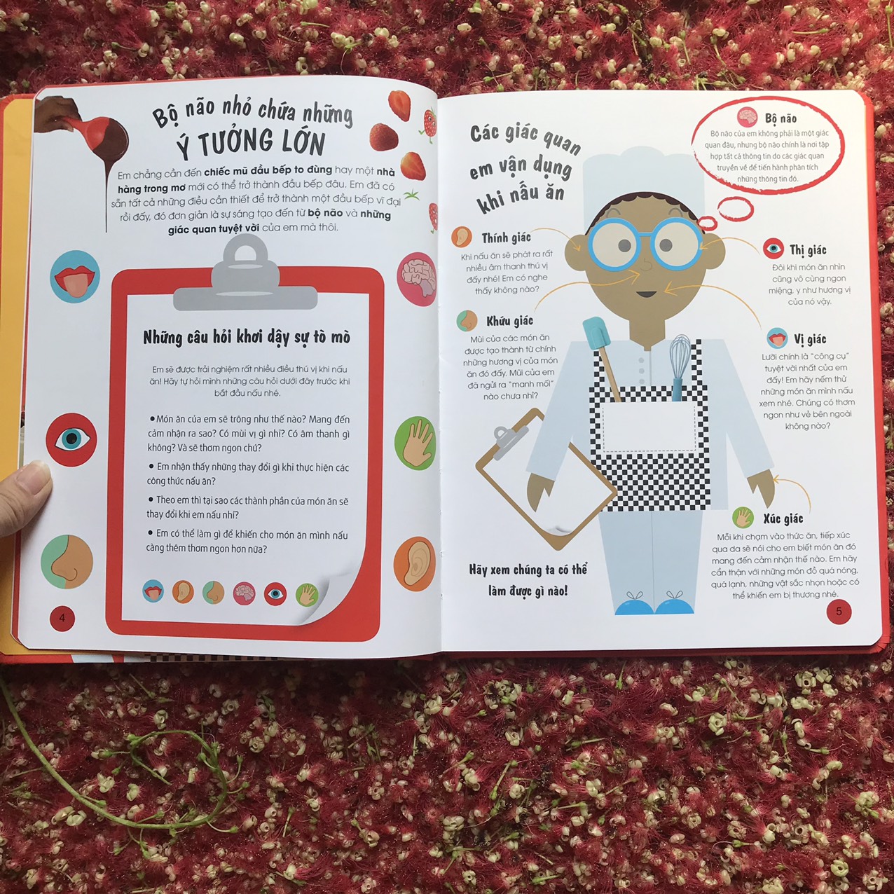Look! - Tớ Là Đầu Bếp