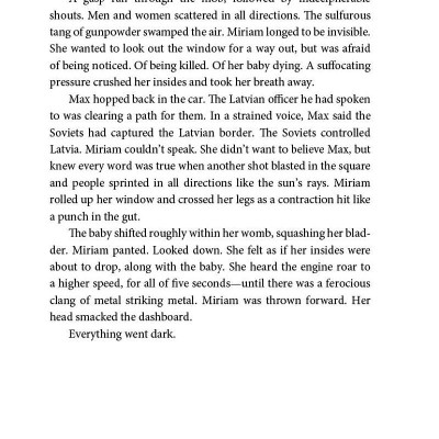 Daughters Of The Occupation: A Novel Of WWII