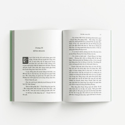 Sách - Gió Đùa Trong Liễu - Đông A