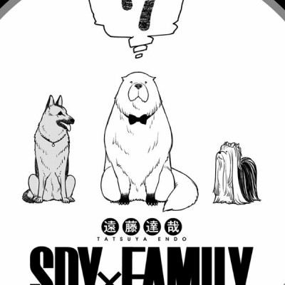 SPY x FAMILY 7