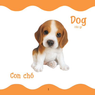 	Cùng Con Trưởng Thành - Từ Điển Bằng Hình Cho Trẻ Mầm Non - Động Vật Nuôi _DTI