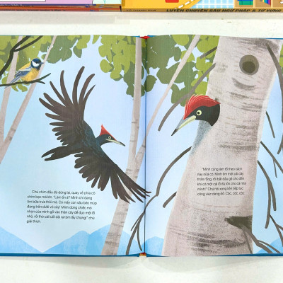 Sách - Điều Kỳ Diệu Của Thiên Nhiên - ndbooks