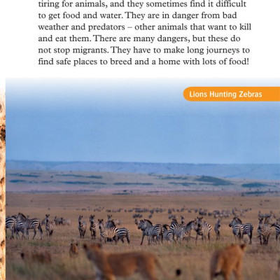 Oxford Read and Discover 5 Great Migrations