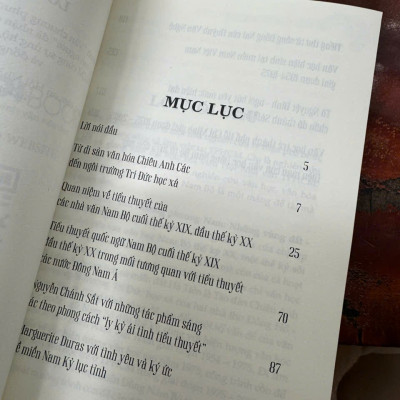 VĂN CHƯƠNG PHƯƠNG NAM: NHỮNG VÙNG ĐẤT – NHỮNG CON NGƯỜI - Hà Thanh Vân – Hanoi Books	`	``	`	`