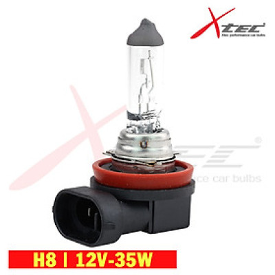 Bóng Đèn Ô Tô Xtec H8 12V 35W