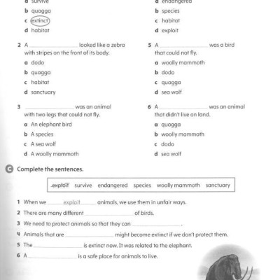Oxford Discover 2nd Edition: Level 5: Workbook With Online Practice