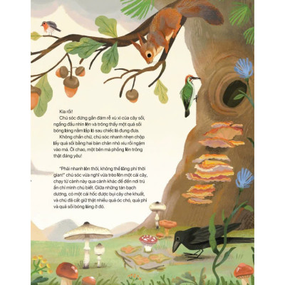 Sách - Điều Kỳ Diệu Của Thiên Nhiên - ndbooks
