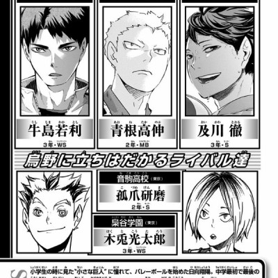ハイキュー!! 15 - HAIKYU-! ! 15