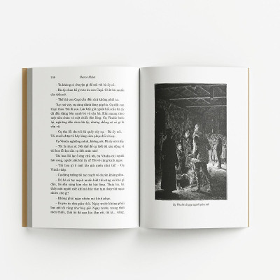 Sách - Không Gia Đình - Bìa Hoa - Đông A