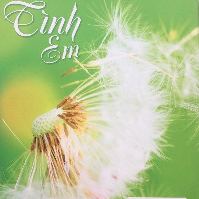 Tình em