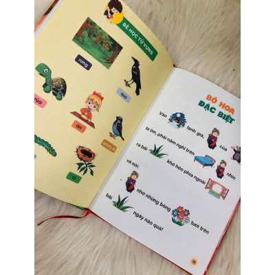 Sách - Combo Truyện Tư Duy Hình Ảnh Cho Bé Những Câu Chuyện Về: Sự Kiên Trì, Chăm Chỉ, Lòng Hiếu Thảo, Sự Trung Thực