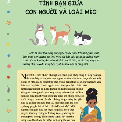 Câu Chuyện Về Loài Mèo