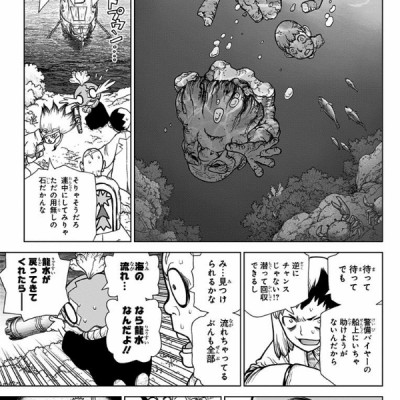 DR. STONE 14 (ジャンプコミックス)