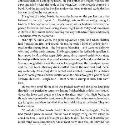 Under The Wave At Waimea