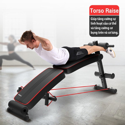 Ghế tập bụng cong muse, Ghế tập gym đa năng, Ghế Tập cơ Bụng, Máy tập bụng, Ghế tập lực , máy gập cơ bụng (hàng nhập khẩu)