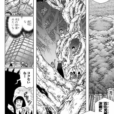 DR. STONE 14 (ジャンプコミックス)