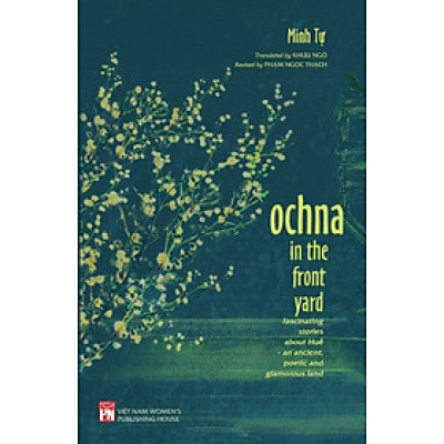 Ochna in the front yard: Fascinating stories about Huế - an ancient, poetic and glamorous land