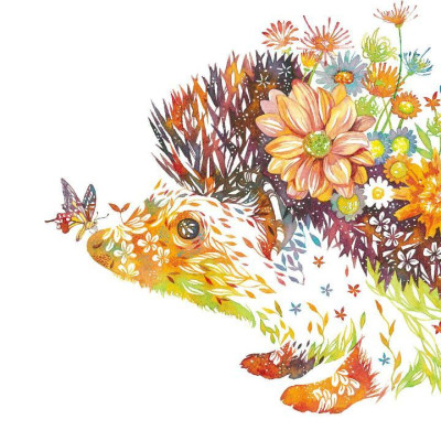 Sách ngoại văn: Hiroki Takeda Art Book: Colors of Life (Japanese Edition)