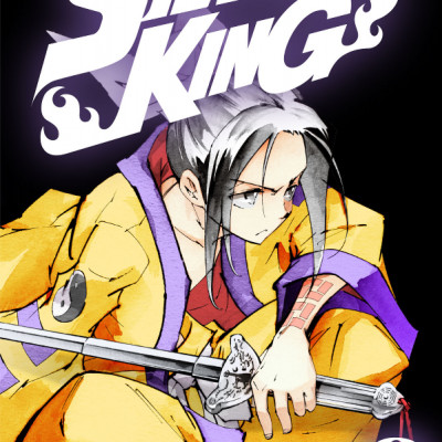 SHAMAN KING 8
