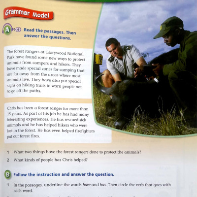 Boost! Grammar: Level 2