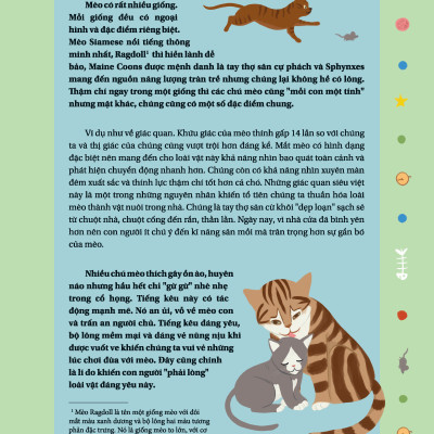 Câu Chuyện Về Loài Mèo