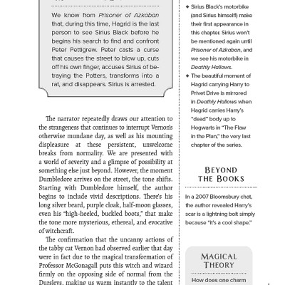 The Unofficial Harry Potter Companion Volume 1: Sorcerer