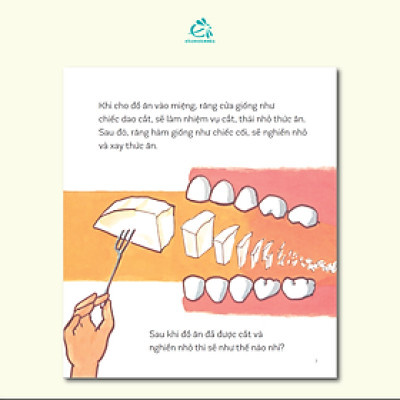 Chuyện Những Chiếc Răng