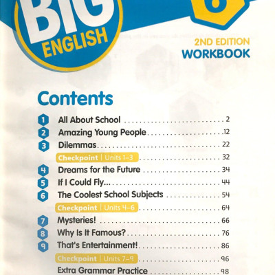 Big English 2ed PTE YL WB6 VN