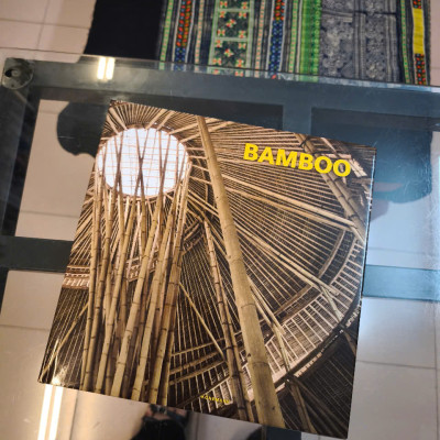 Sách - Bamboo (Contemporary Architecture & Interiors) by Simone Schleifer - Art/ Design In English