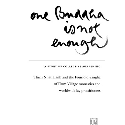 One Buddha Is Not Enough: A Story Of Collective Awakening