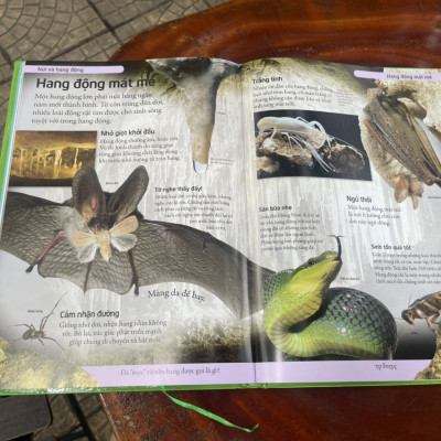 [BÁCH KHOA CHO TRẺ EM] – BÁCH KHOA TỰ NHIÊN – MỞ MANG KIẾN THỨC KHƠI DẬY TIỀM NĂNG– tủ sách DK – Đông A – Bìa Cứng in màu toàn bộ