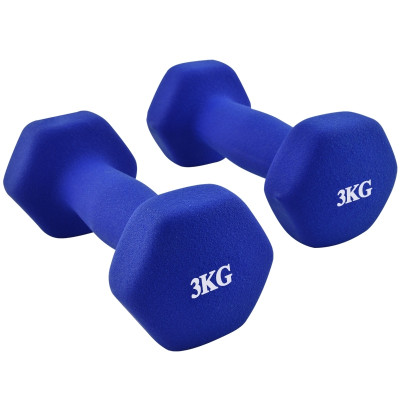 Bộ 2 tạ tay 3kg Model Q304 - Q314 cao cấp tập Gym BG (hàng nhập khẩu)