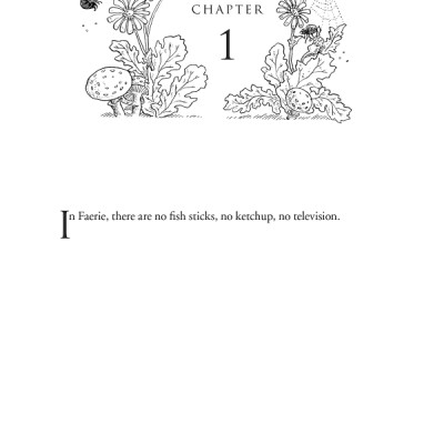 The Folk Of The Air 1: The Cruel Prince