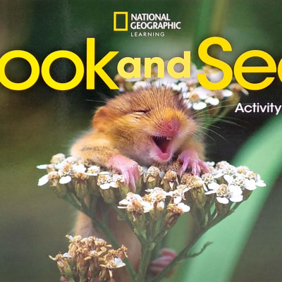 Look And See AME 1: Activity Book