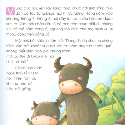 Truyện Hay Mỗi Ngày - BỒI DƯỠNG THÓI QUEN TỐT (Bản in màu) 