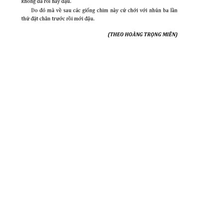 Thần Thoại Việt Nam Chọn Lọc (Tái bản 2025)