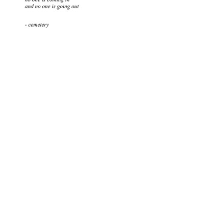 The Sun And Her Flowers