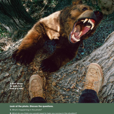 Look 6: Workbook With Online Practice
