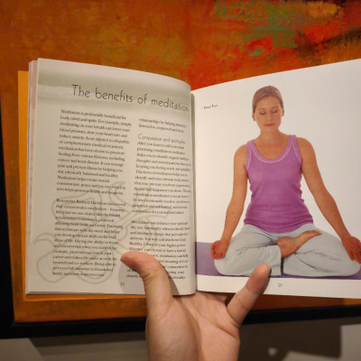 Sách - The Meditation Experience: Your Complete Meditation Workshop by Madonna Gauding