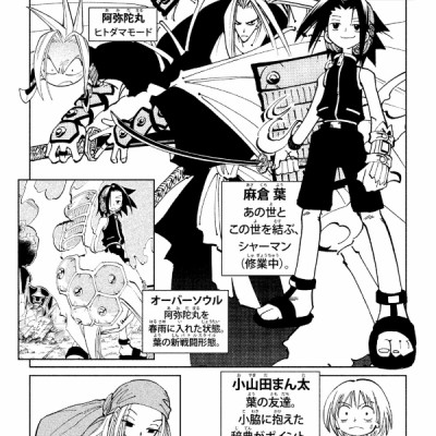 SHAMAN KING 8