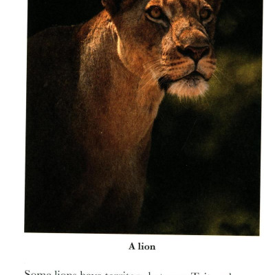 Penguin Readers Level 1: BBC Dynasties: Wolves