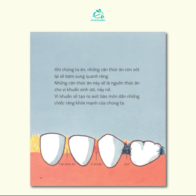 Chuyện Những Chiếc Răng