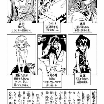 SHAMAN KING 8